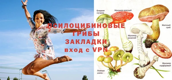 шишки Армянск