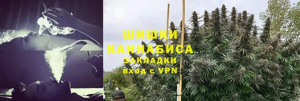 PSILOCYBIN Арсеньев