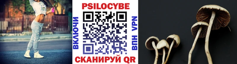 Галлюциногенные грибы прущие грибы  kraken маркетплейс  Ирбит 